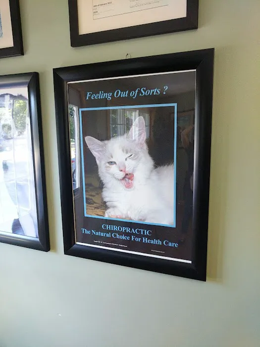 Mountain View Animal Hospital 7