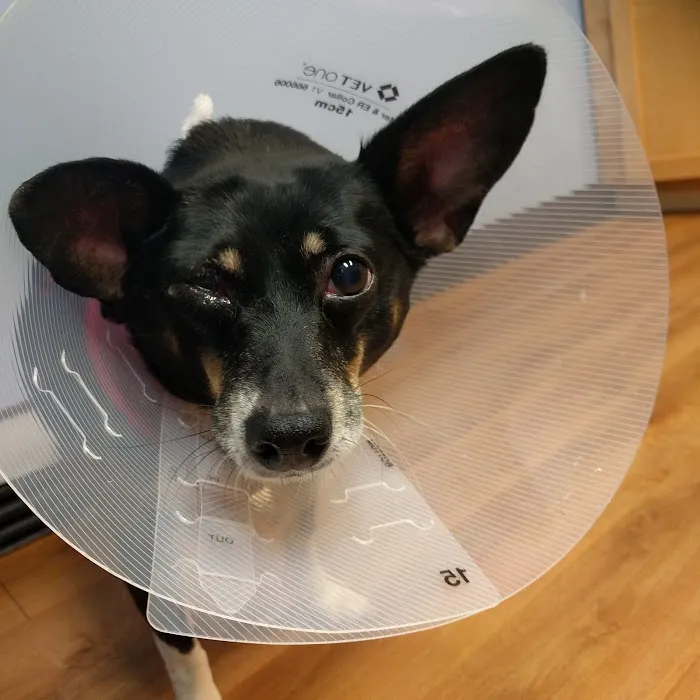 Mountain View Animal Hospital 10