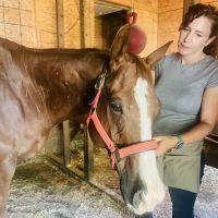 Large Animal Medical Associates ico