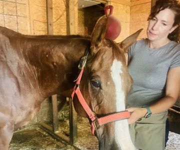 Large Animal Medical Associates