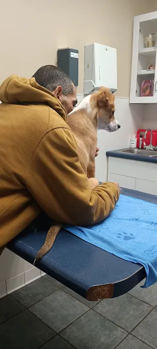 VCA Fitzgerald Animal Hospital 1