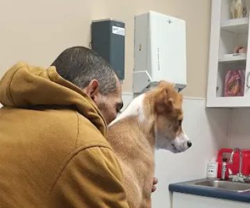 VCA Fitzgerald Animal Hospital