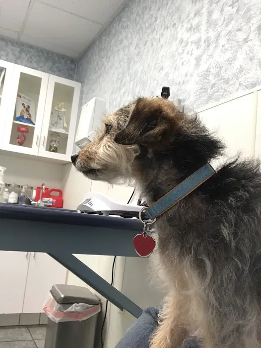 VCA Fitzgerald Animal Hospital 8