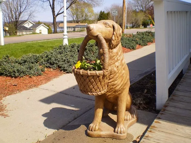 Malletts Bay Veterinary Hospital 6