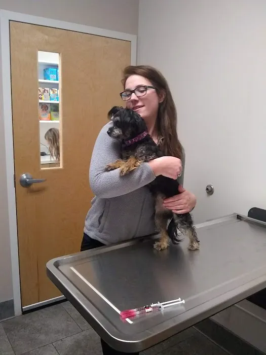Malletts Bay Veterinary Hospital 3