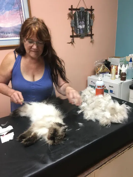 Saranac Veterinary Clinic 5