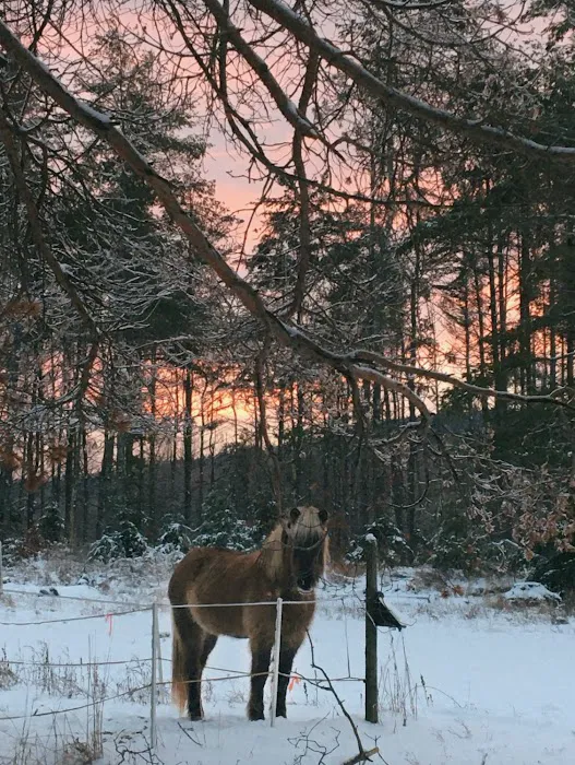 Saranac Veterinary Clinic 4
