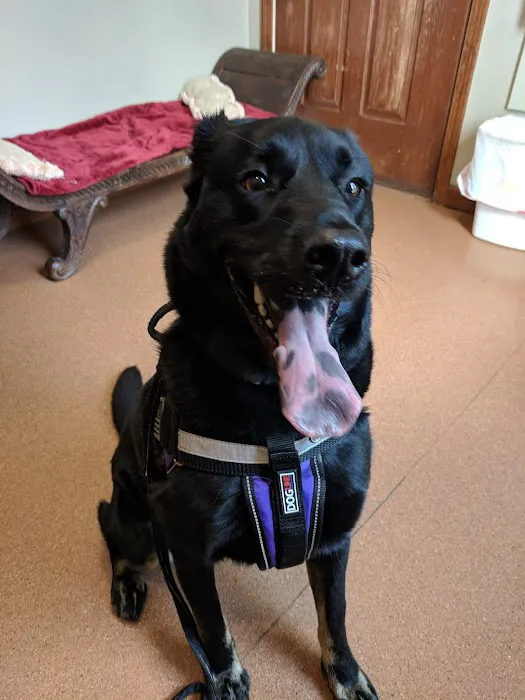 Lake Placid Animal Hospital 6