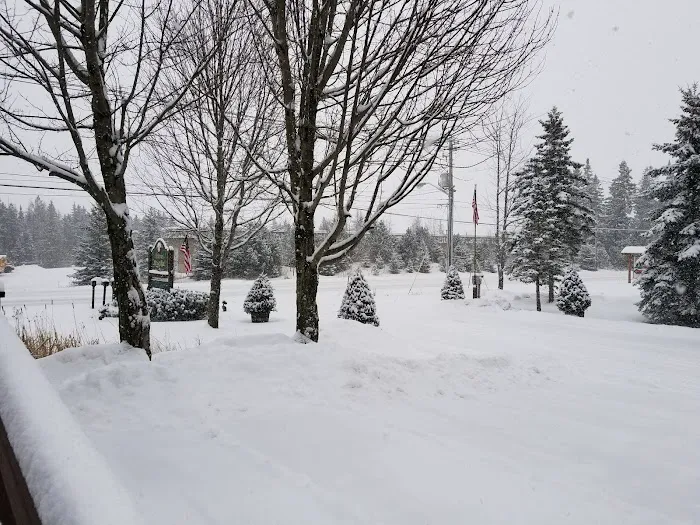 Lake Placid Animal Hospital 5