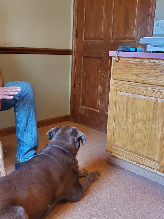 Lake Placid Animal Hospital 1