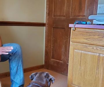 Lake Placid Animal Hospital
