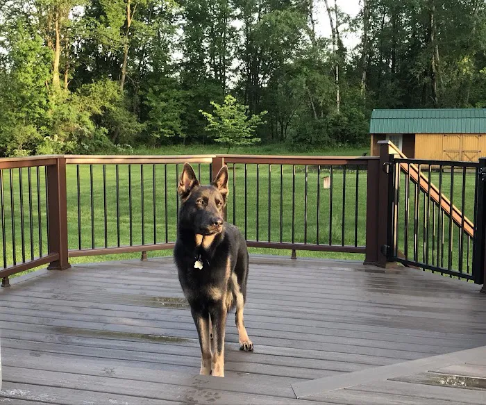 Hilton Veterinary Care Hospital 8
