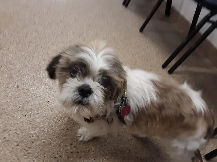 Hilton Veterinary Care Hospital 3