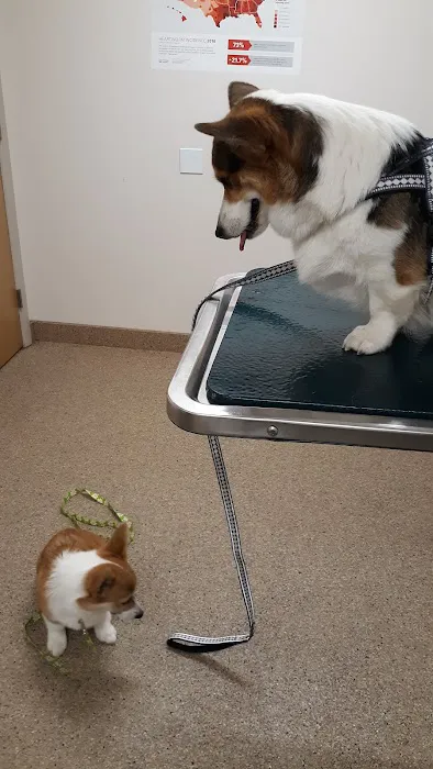 Hilton Veterinary Care Hospital 1