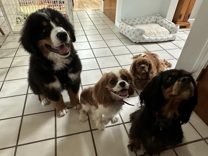 Stoney Pointe Pet Hospital 2