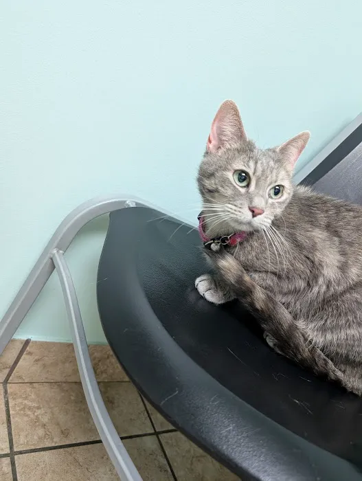 Stoney Pointe Pet Hospital 6