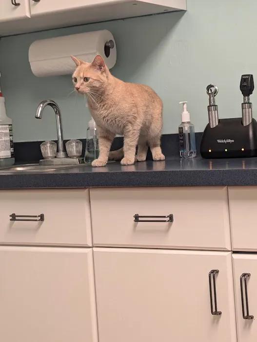 Stoney Pointe Pet Hospital 1