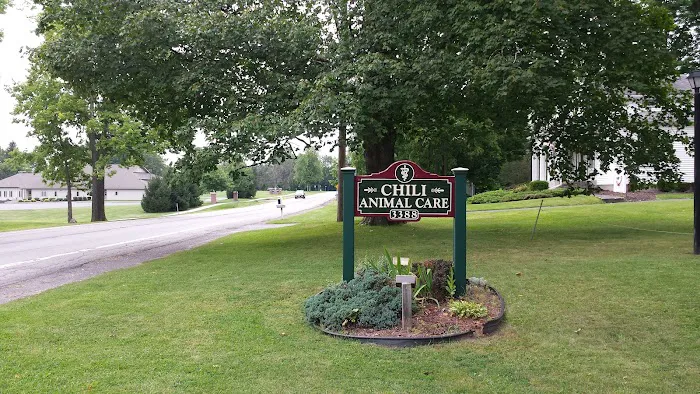 Chili Animal Care 9