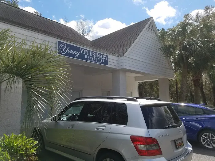 Young Veterinary Hospital 5