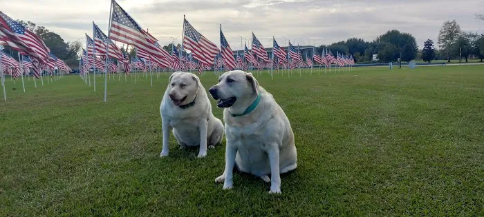 Animal Hospital of South Carolina 5