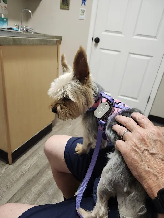 Animal Hospital of South Carolina 7