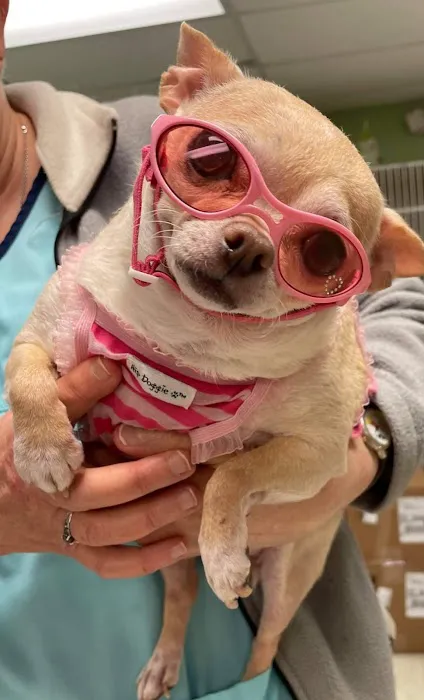 Animal Hospital of South Carolina 2