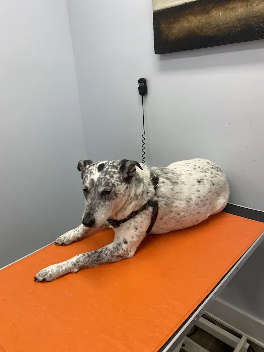 McNeal Veterinary 2