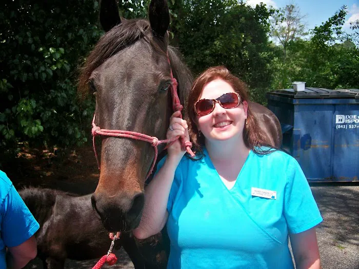Sandhills Animal Hospital 8