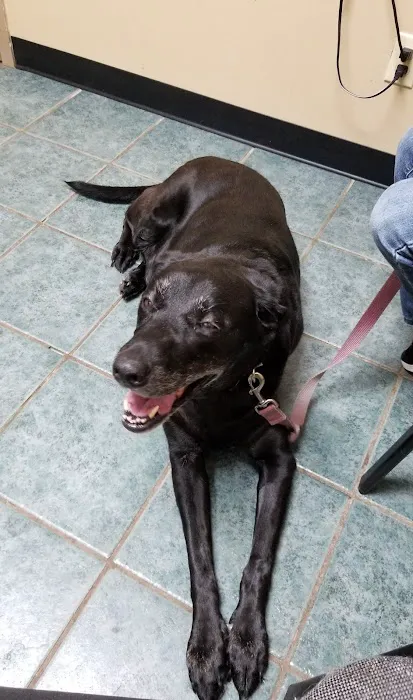 Sandhills Animal Hospital 1
