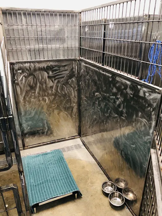 Florence Animal Hospital 5