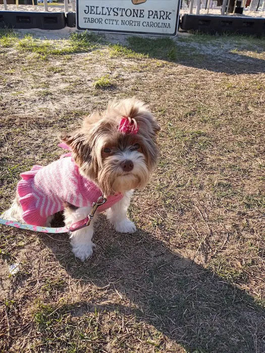 Florence Animal Hospital 2