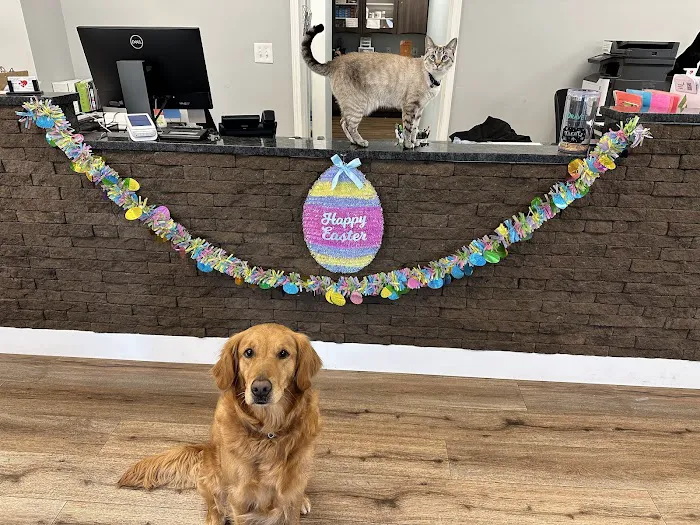 Florence Animal Hospital 9