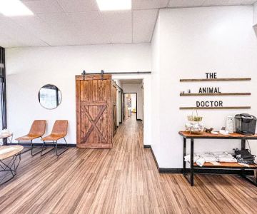 The Animal Doctor