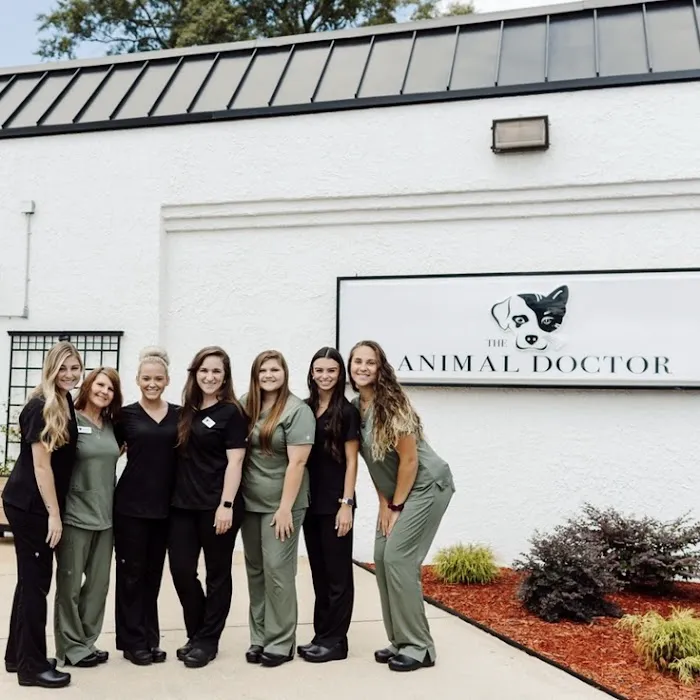 The Animal Doctor 3