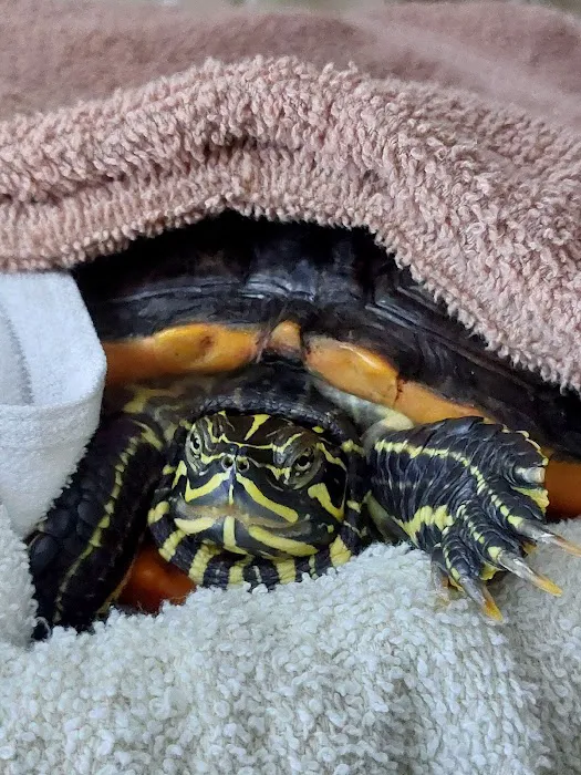 Southern Paws Animal Medical Center 7