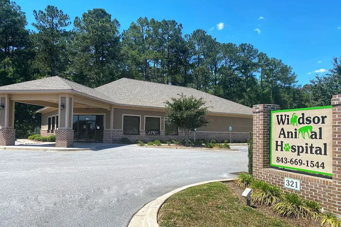 Windsor Animal Hospital 10