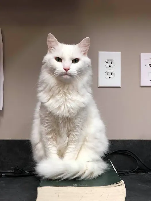 Windsor Animal Hospital 9