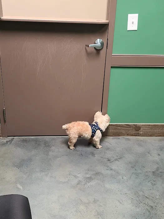 Windsor Animal Hospital 3