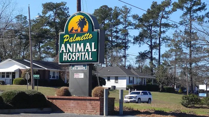 Palmetto Animal Hospital 8