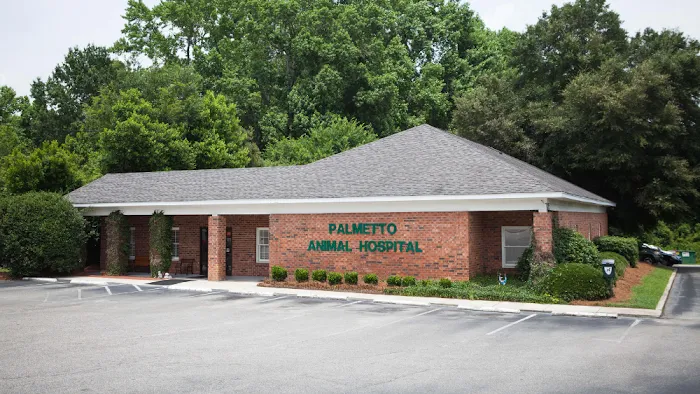 Palmetto Animal Hospital 10