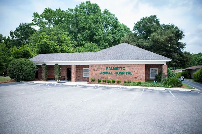 Palmetto Animal Hospital 2