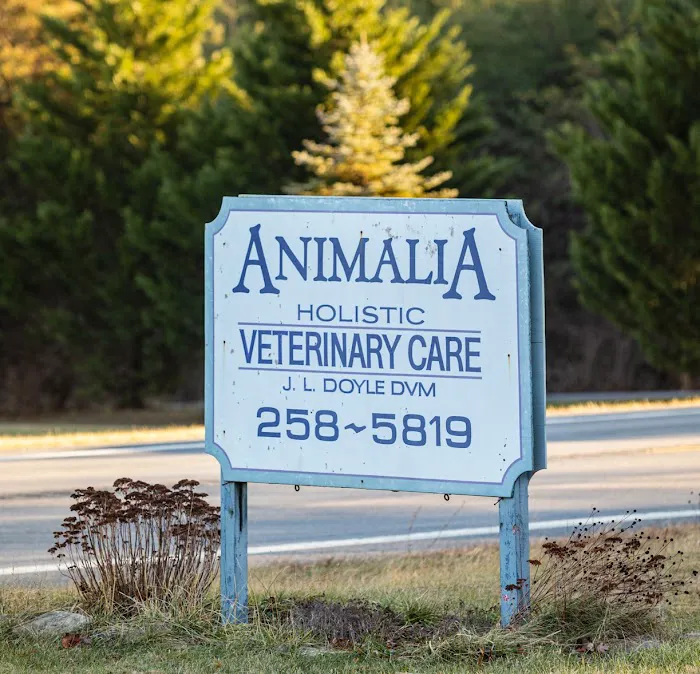 Animalia Veterinary Care 6