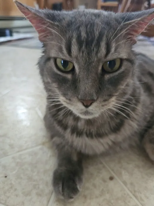 Cove Veterinary Services 9