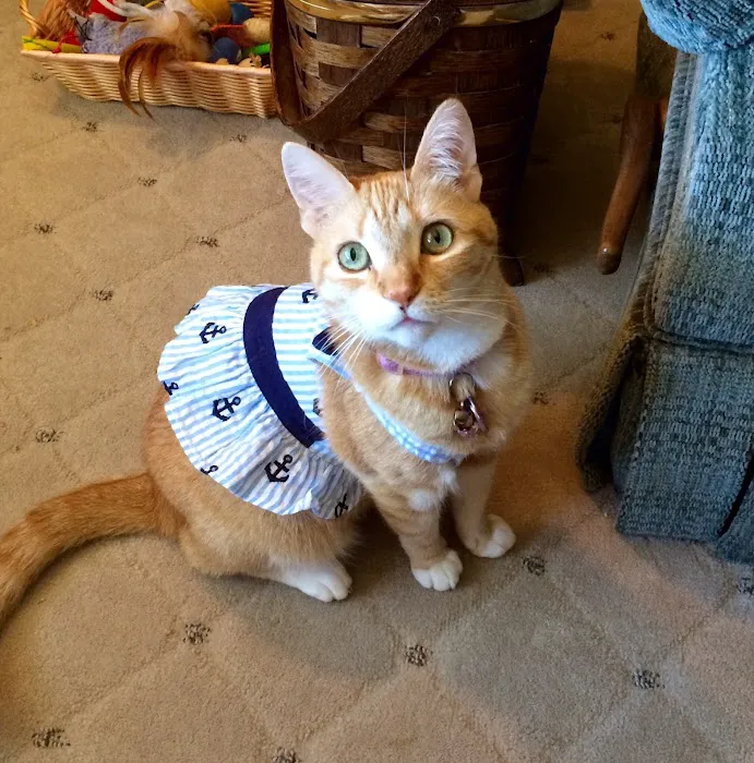 Cove Veterinary Services 10