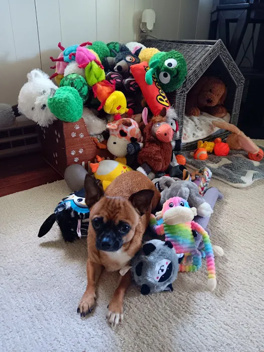 Companion Animal Hospital 9