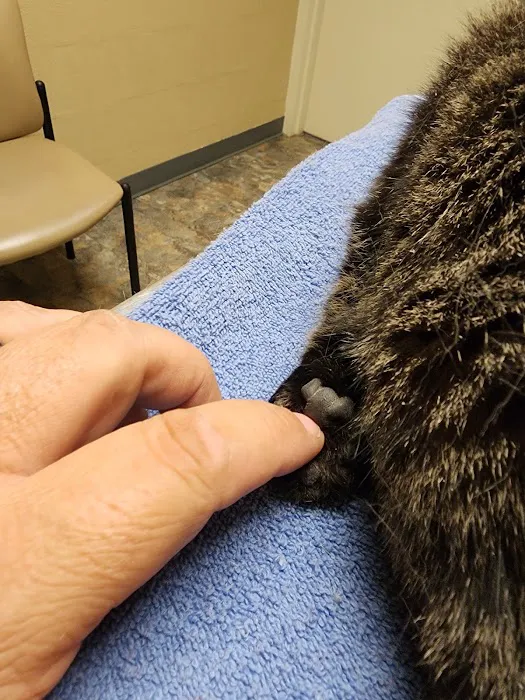 Susquehanna Veterinary Clinic 3