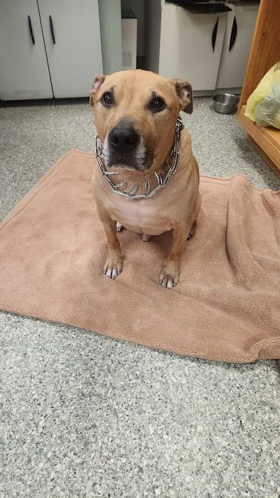 Elk County Veterinary clinic 8