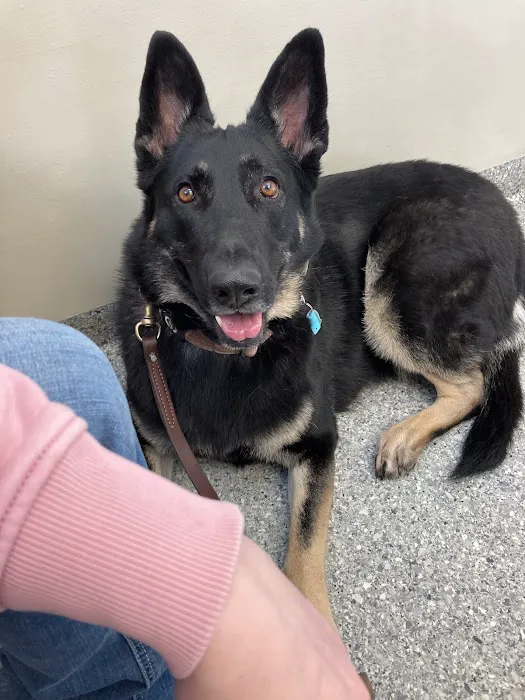 Elk County Veterinary clinic 7