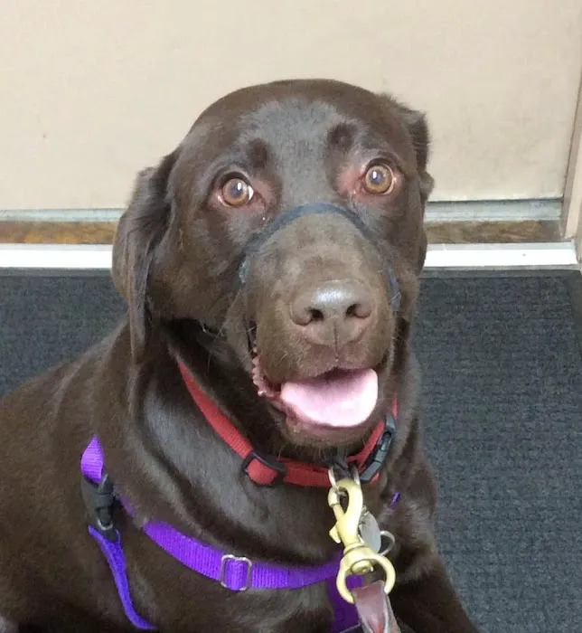 Barre Animal Hospital 5