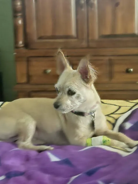 Wiley's Ark Animal Care 3